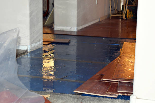Professional Basement Flood Cleanup technician working in Charlotte, TN
